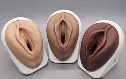 Venus Educational Pelvic Floor Vaginal Models