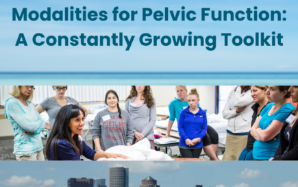 Modalities for Pelvic Function - A Constantly Growing Toolkit