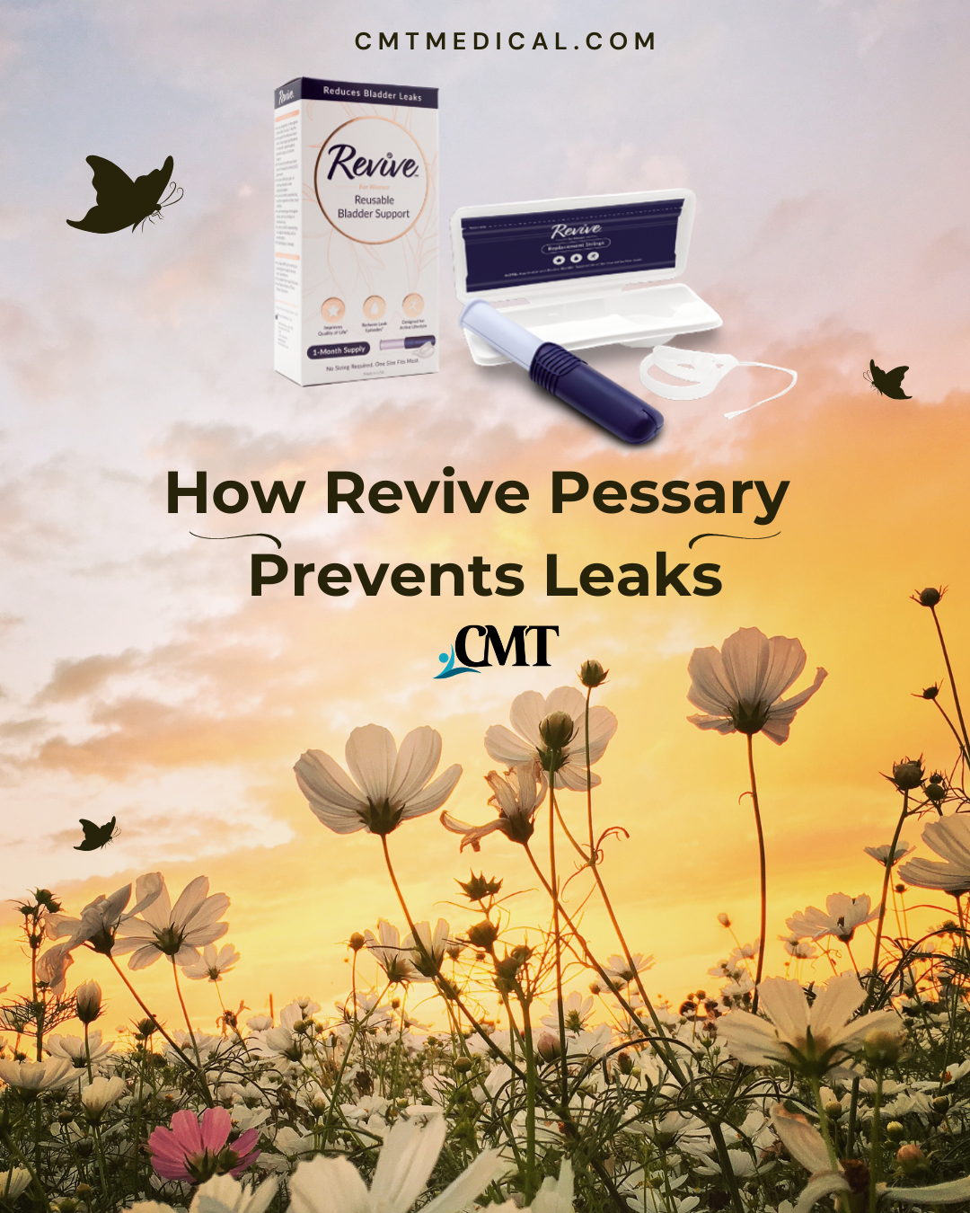 How Revive Pessary Prevents Leaks